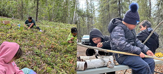 Beauval Youth Camp.png (345 KB)